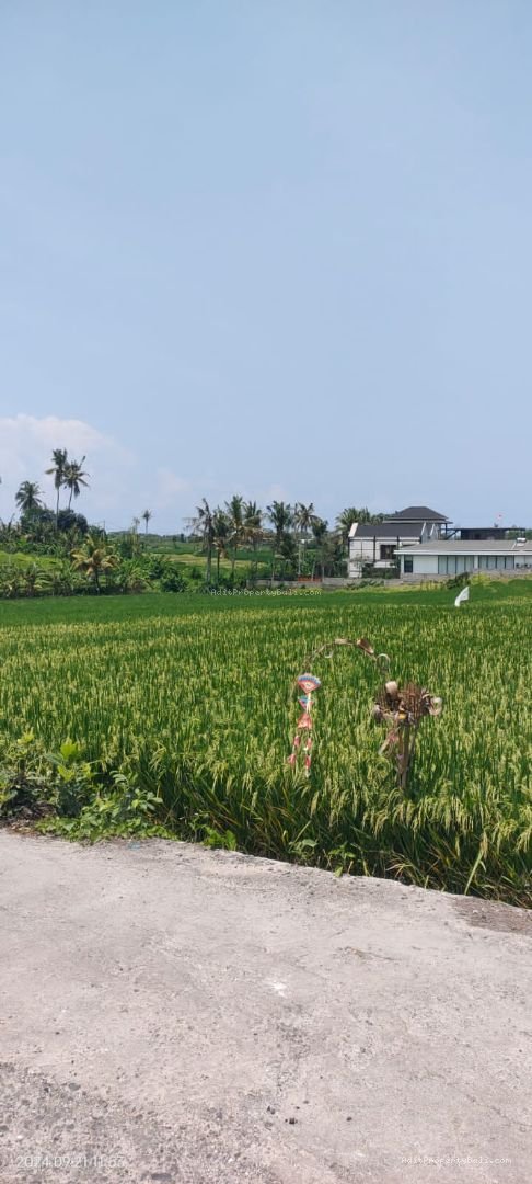 tanah komersil nyanyi tb