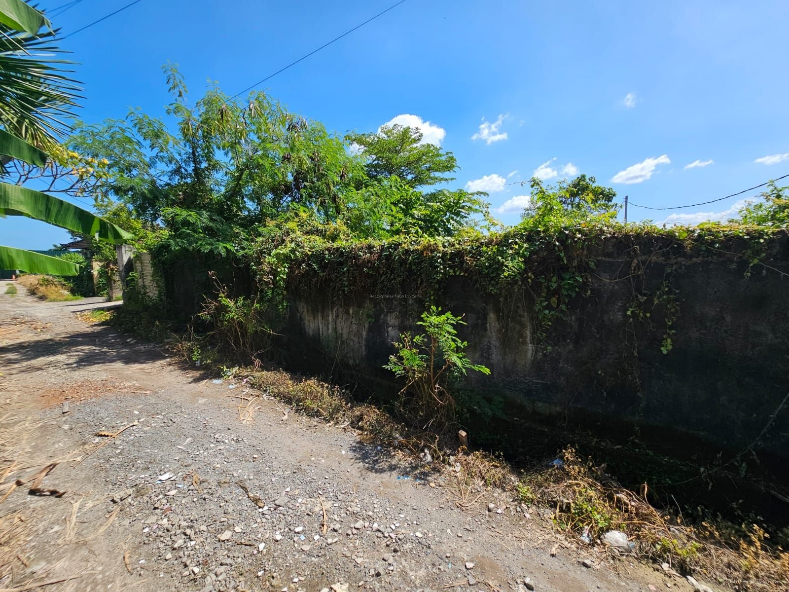 tanah berawa cg