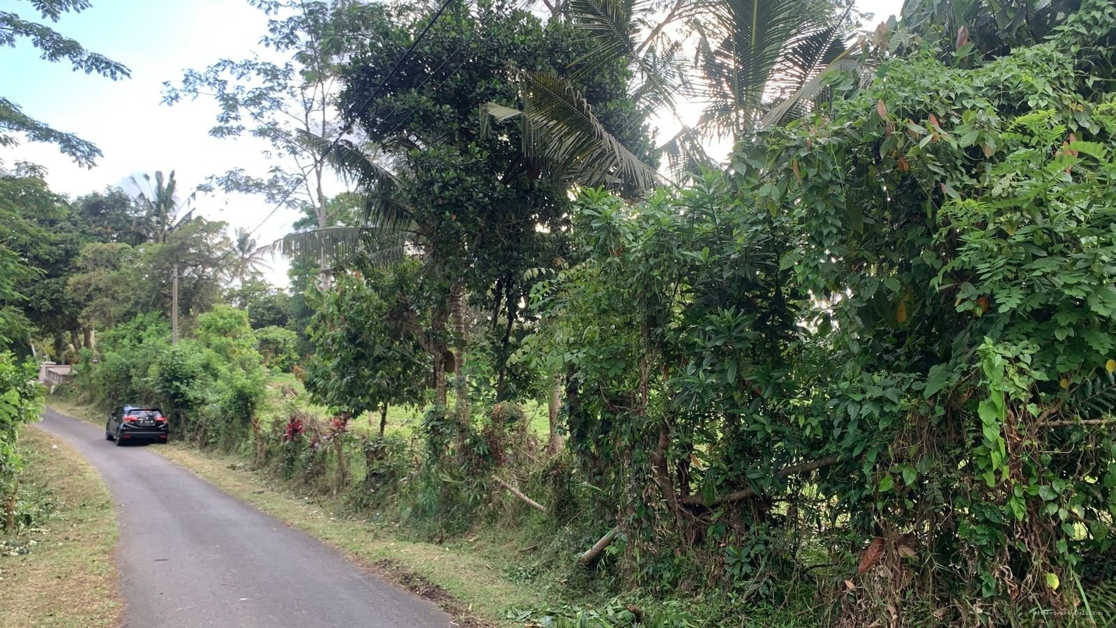 tanah boniann