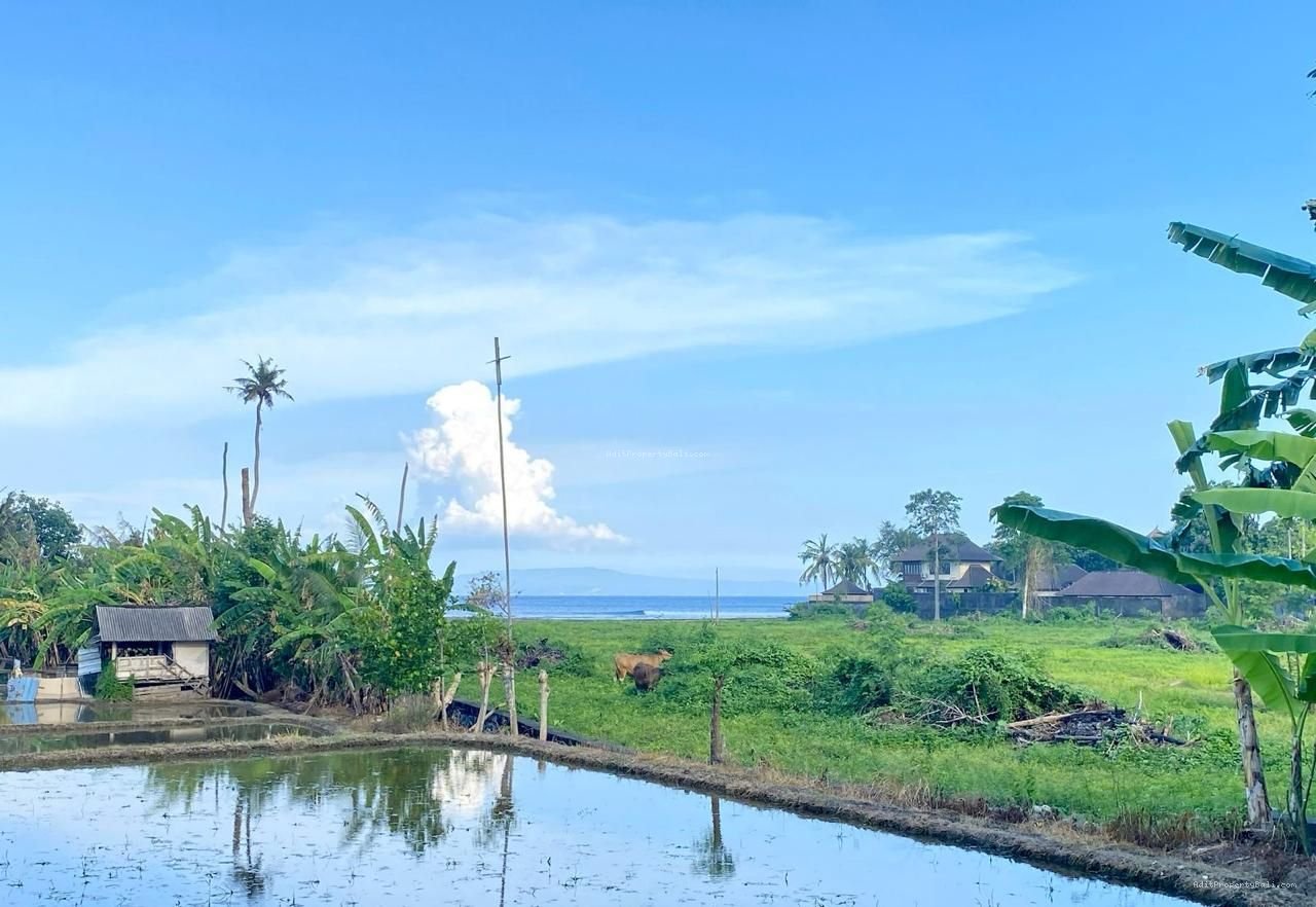 tanah ketewel A