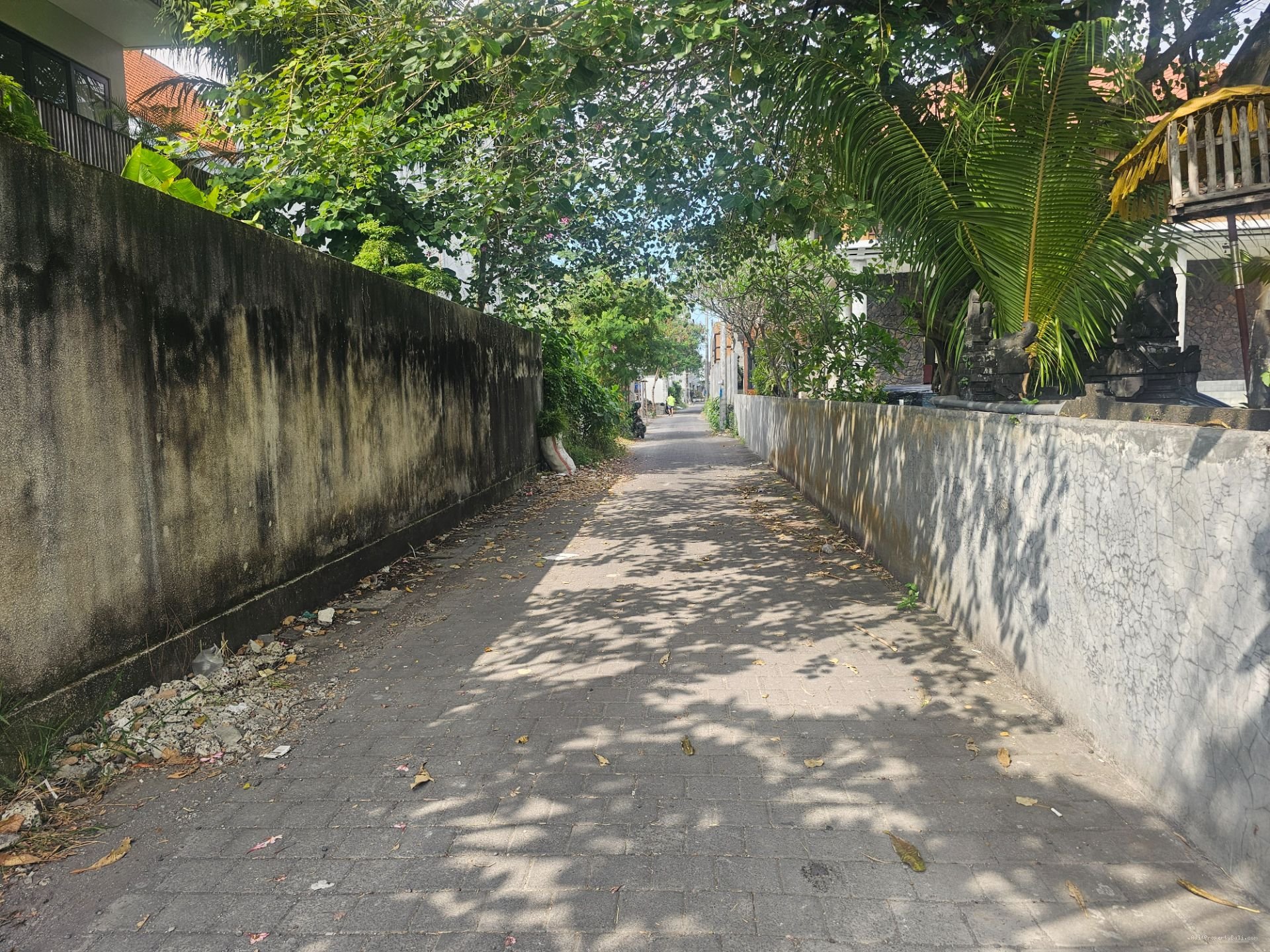 tanah petitengett
