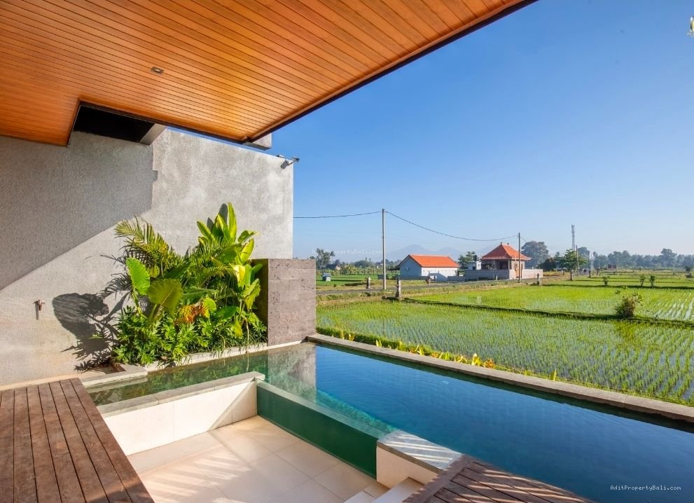 2 unit villa view sawah ubud