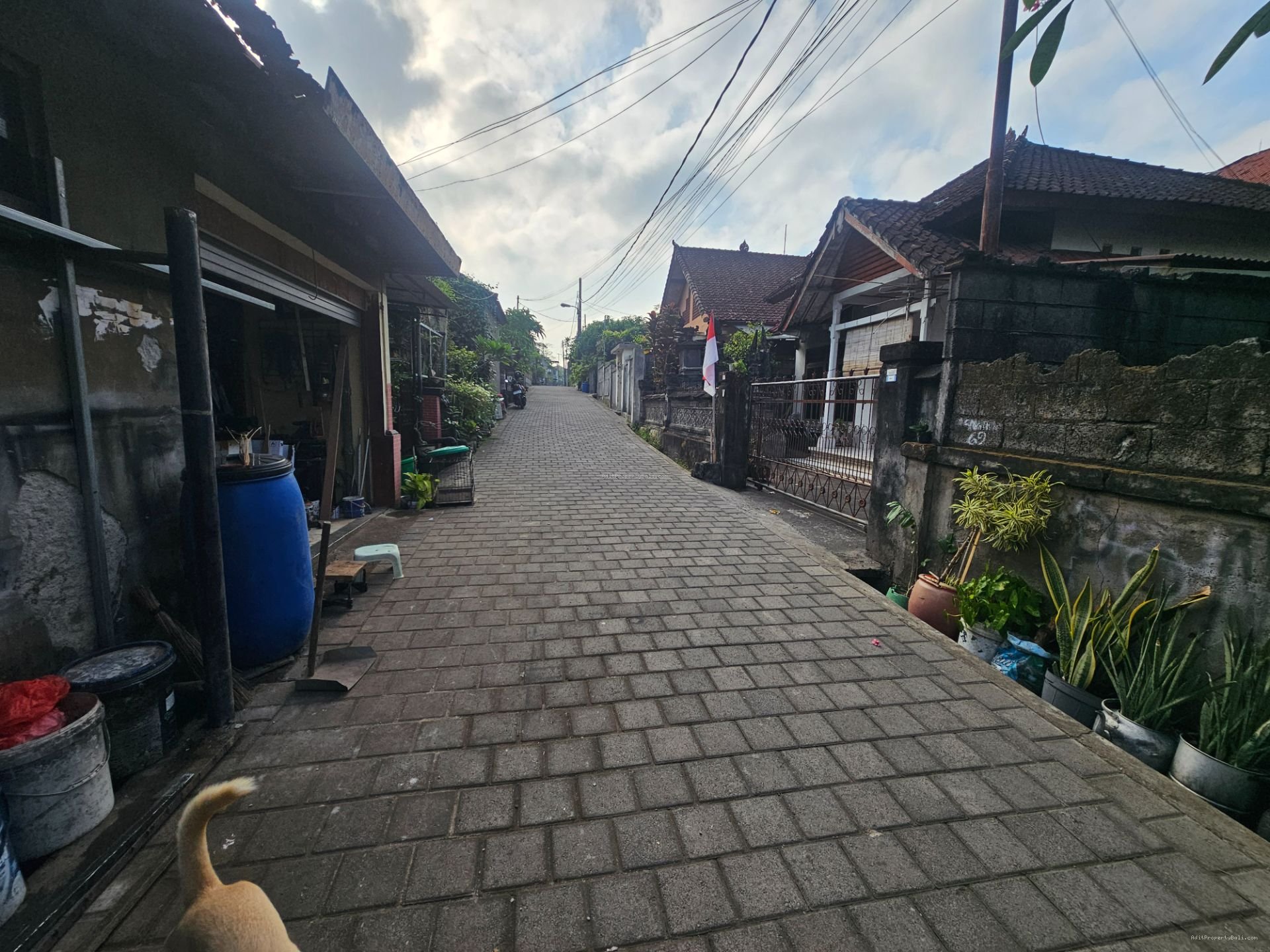 tanah ubung