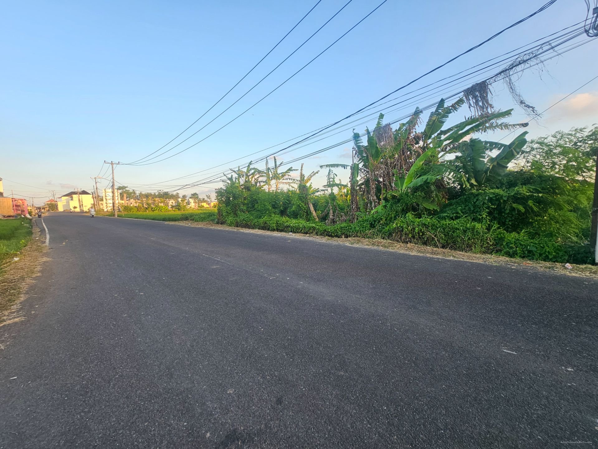 tanah premium ciputra tbn