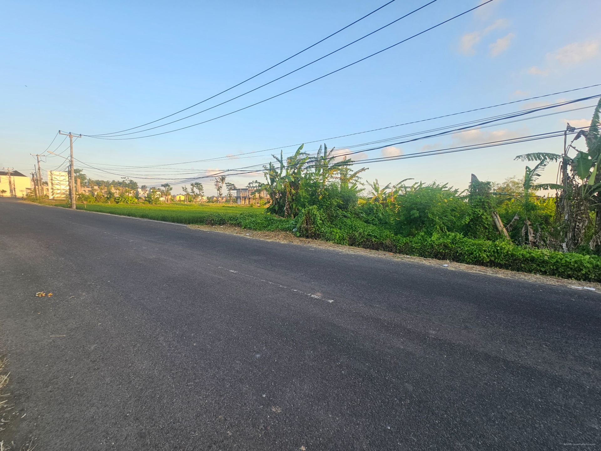 tanah premium ciputra tbn