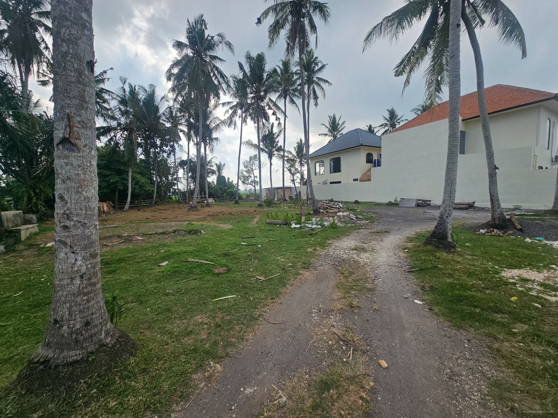 tanah ciputra