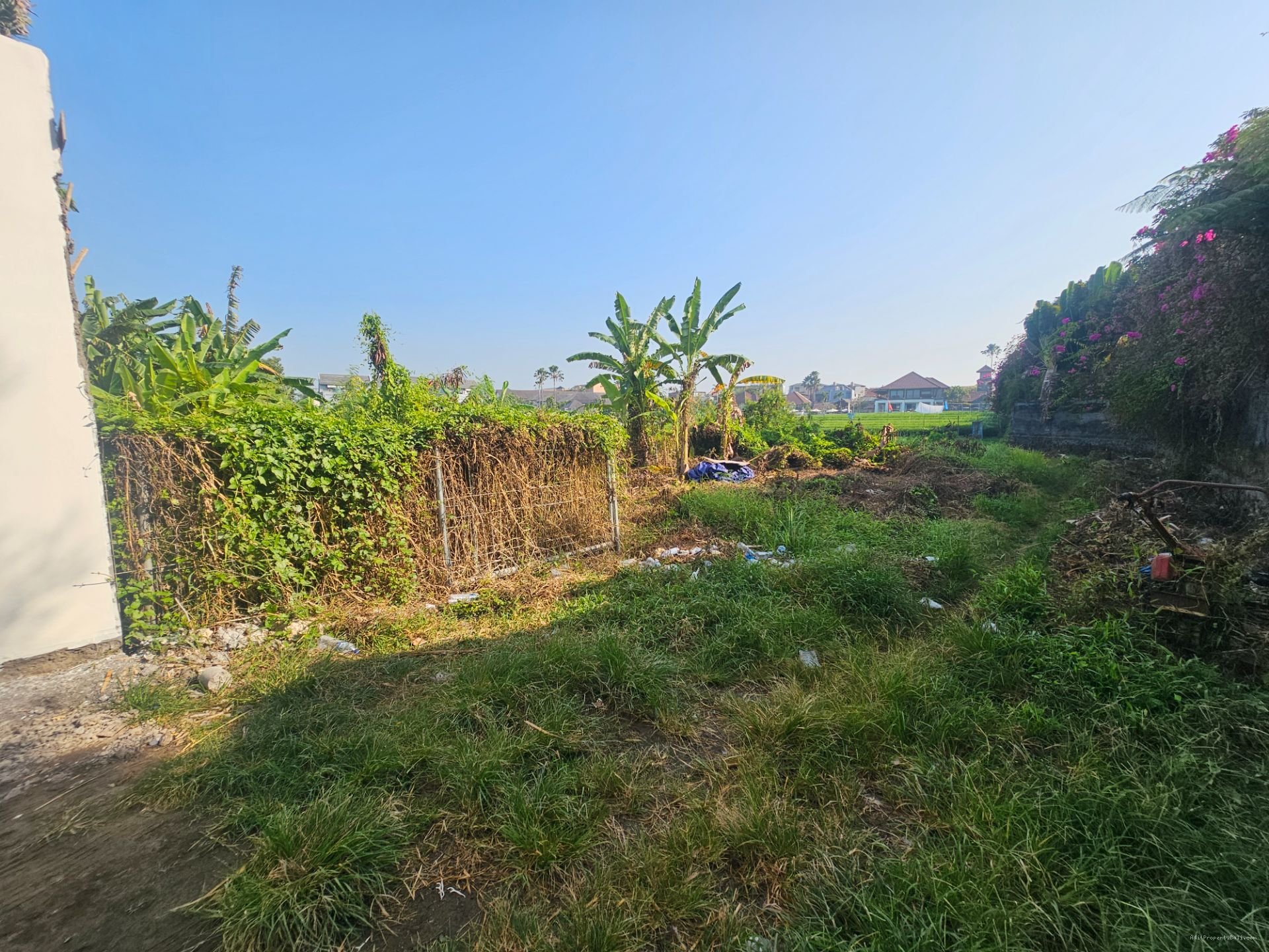 tanah pererenan Cg