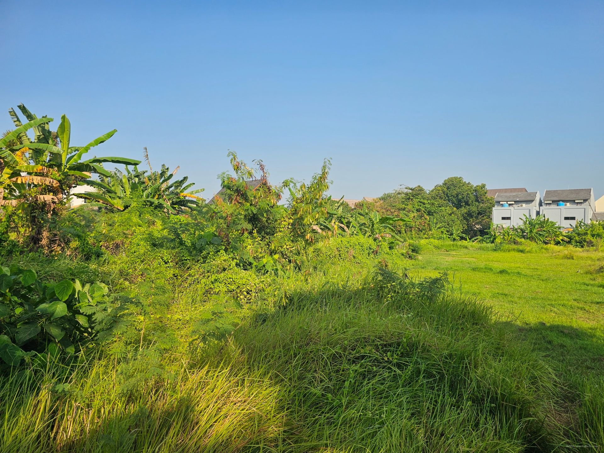 tanah pererenan Cg