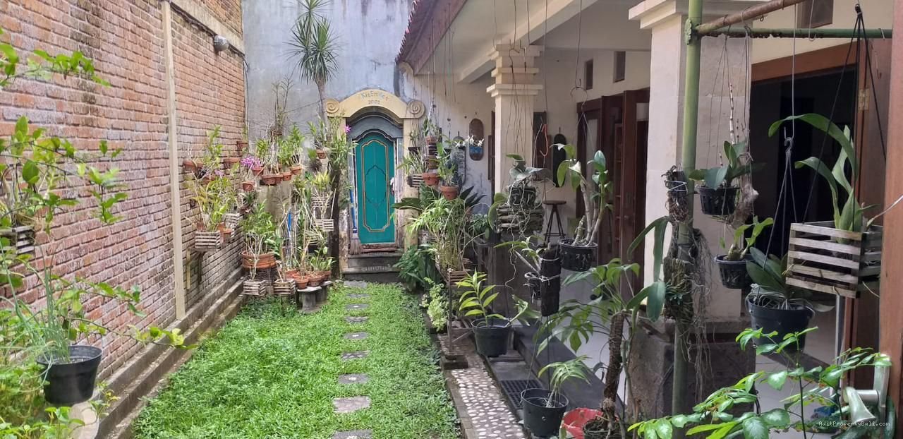 rumah badak agung R