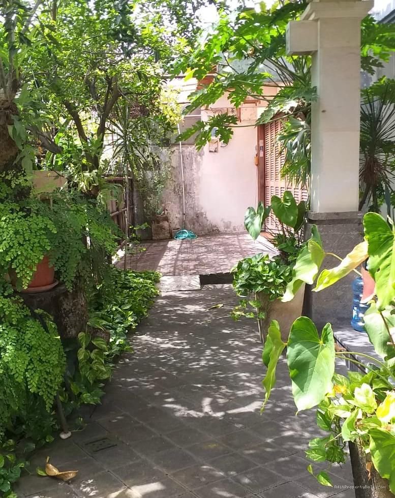 rumah badak agung R