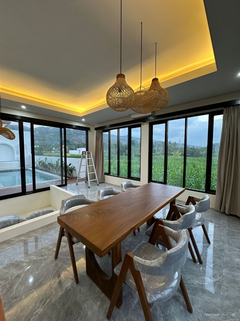 new brand villa lovina