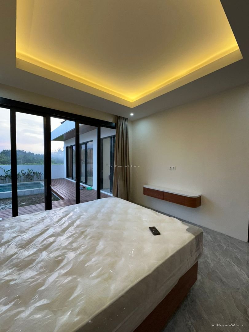 new brand villa lovina