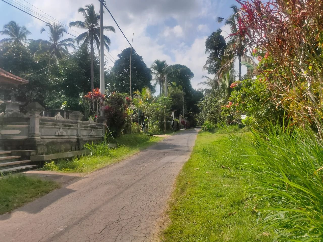tanah payangan ubd