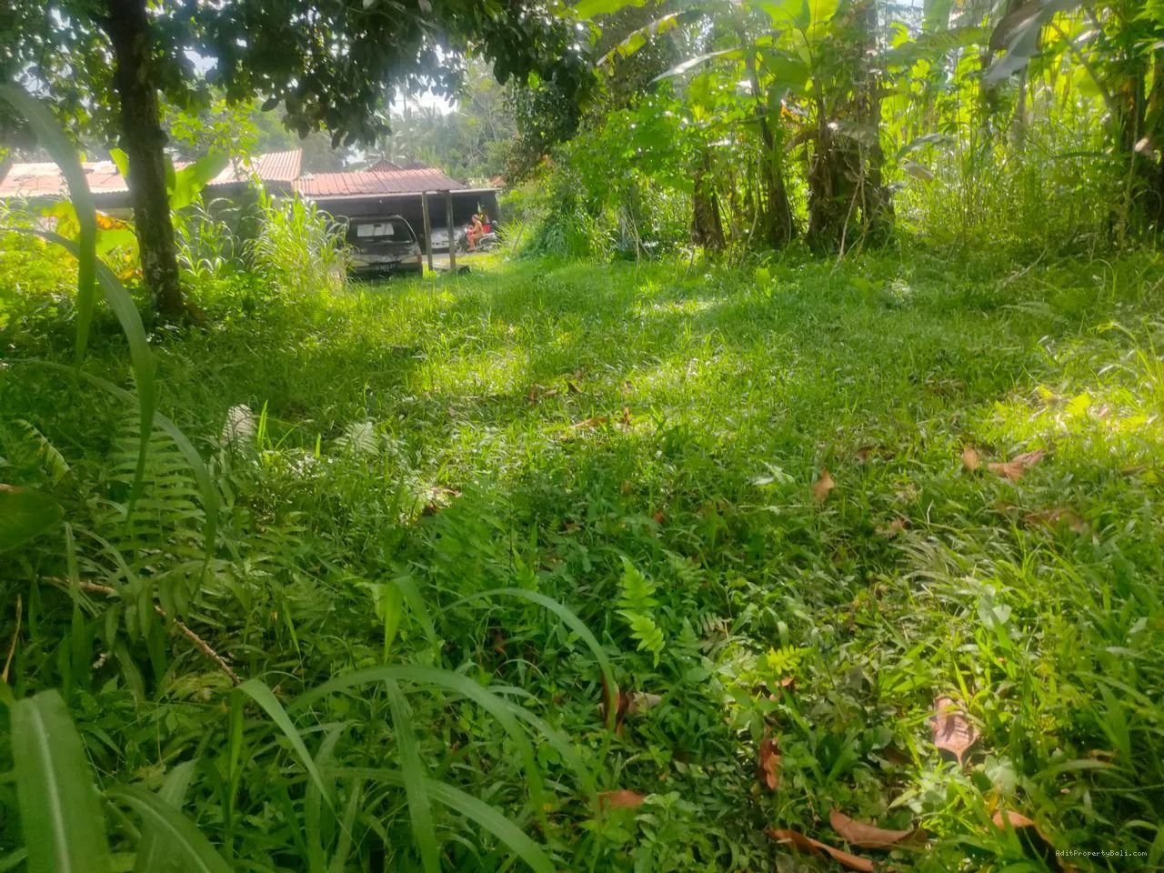 tanah payangan ubd