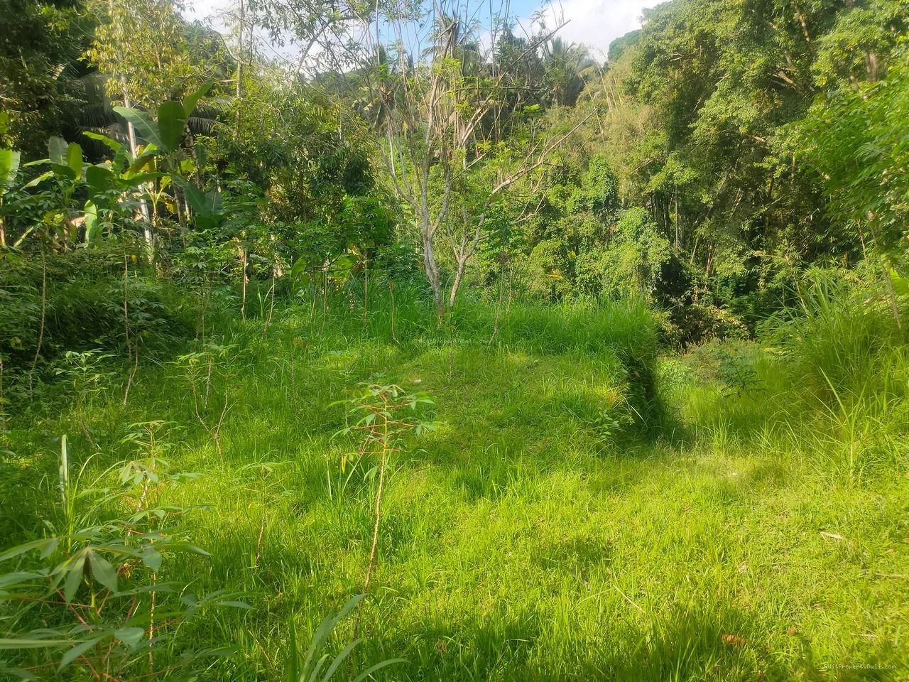 tanah payangan ubd