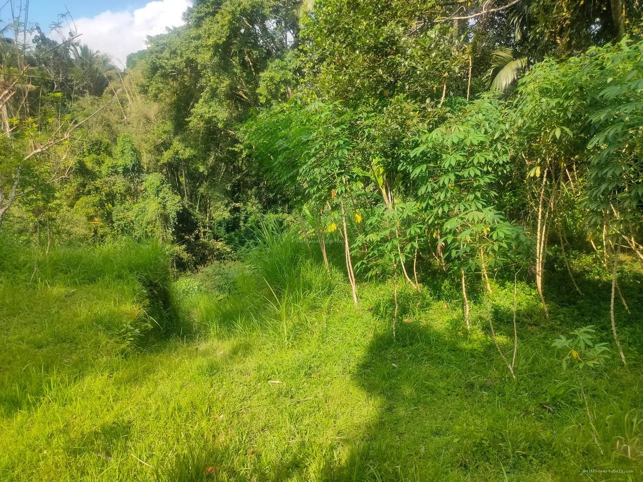 tanah payangan ubd