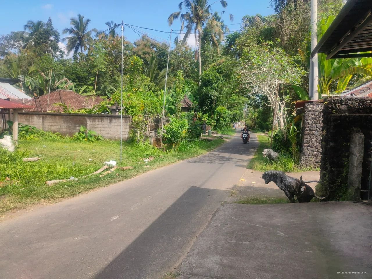 tanah payangan ubd