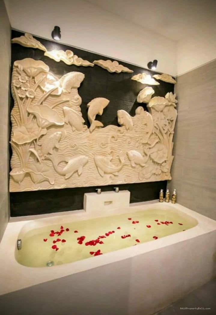 villa seminyk bd