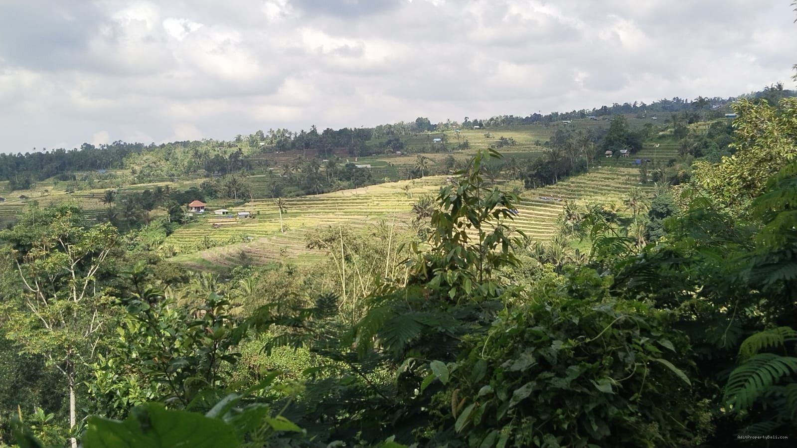 tanah jatiluwih