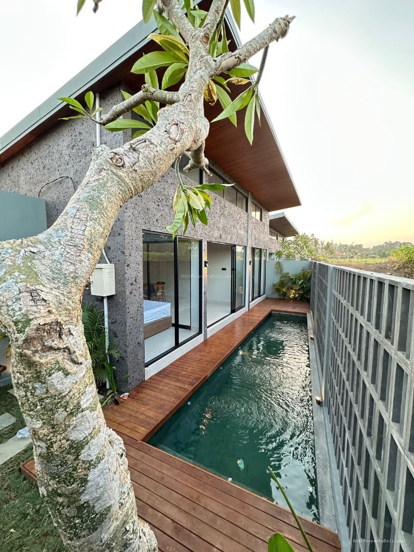 new brand villa pamdak gede