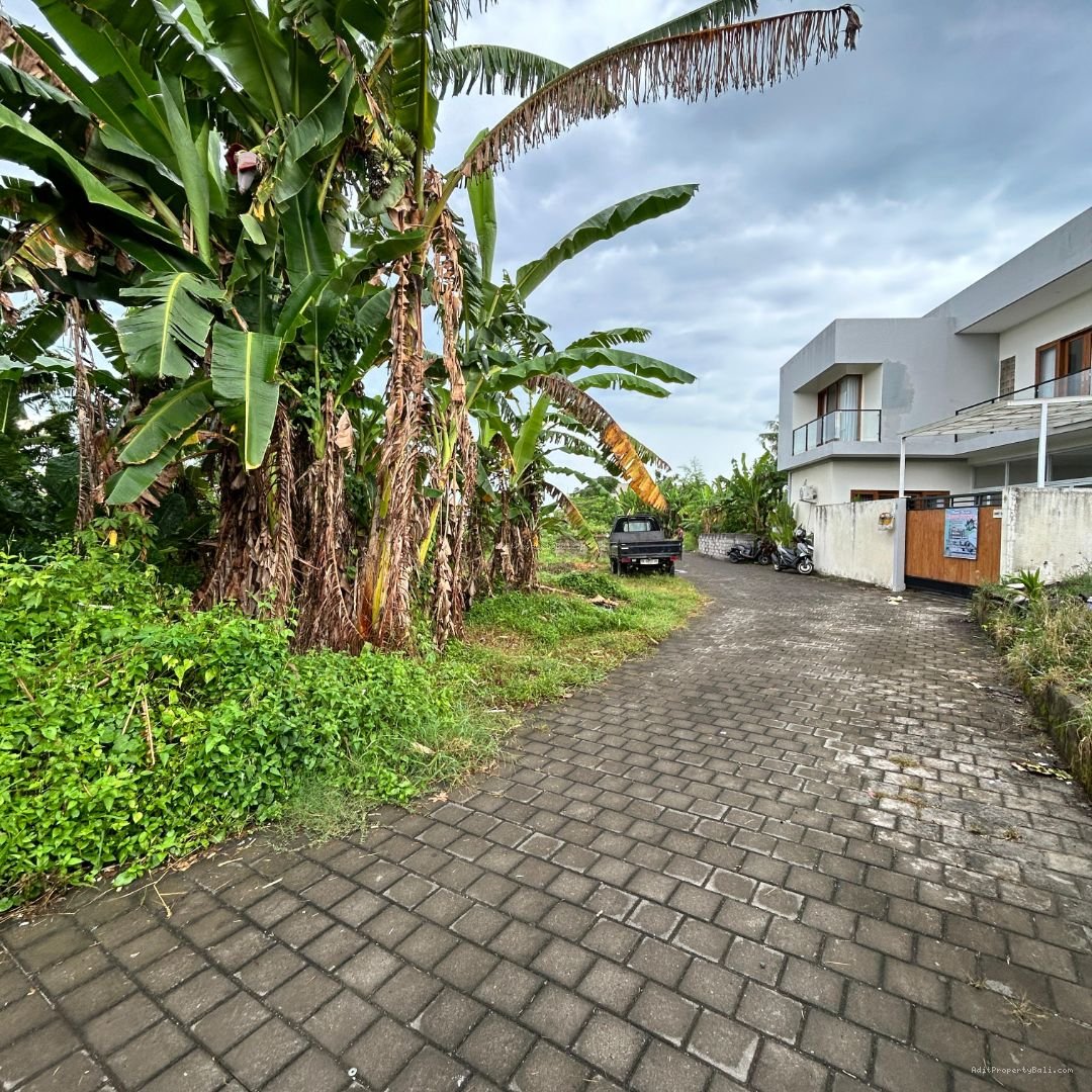 tanah pantai nyanyi